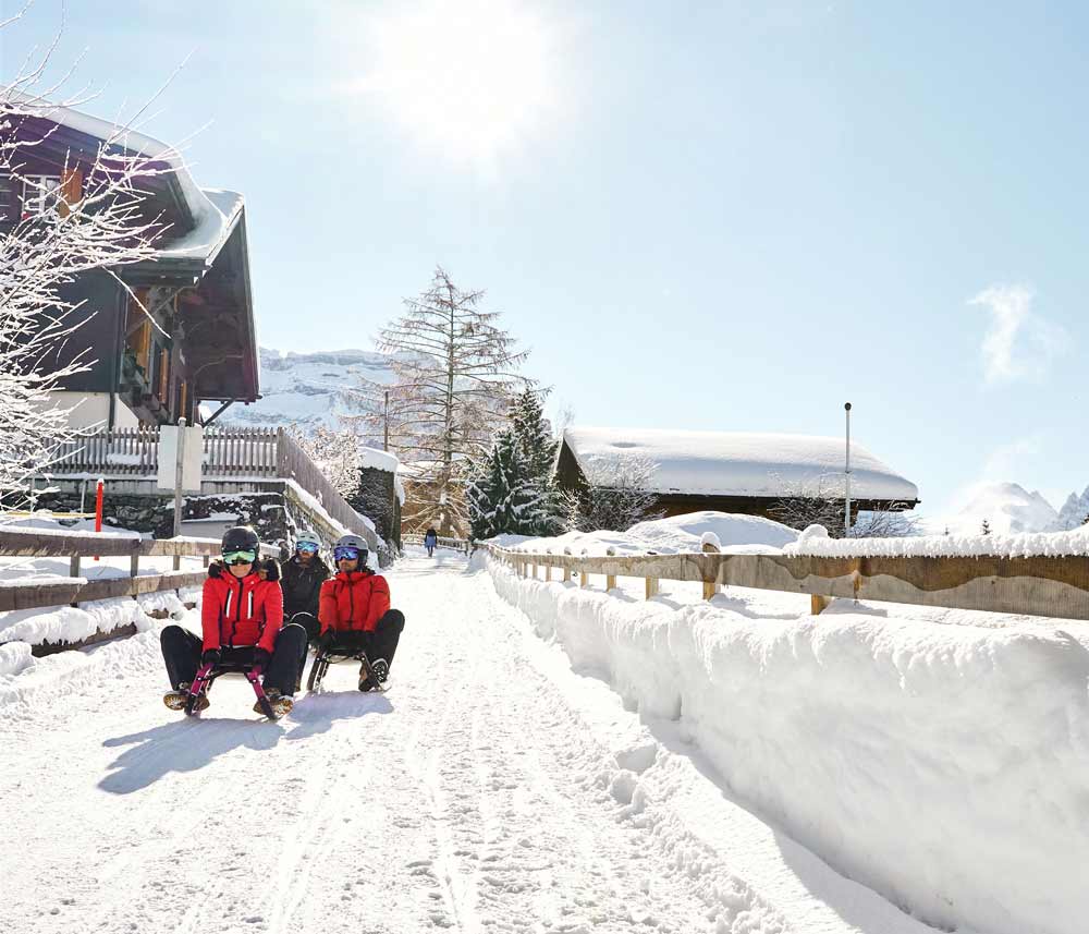 Plus belle_piste_de_luge