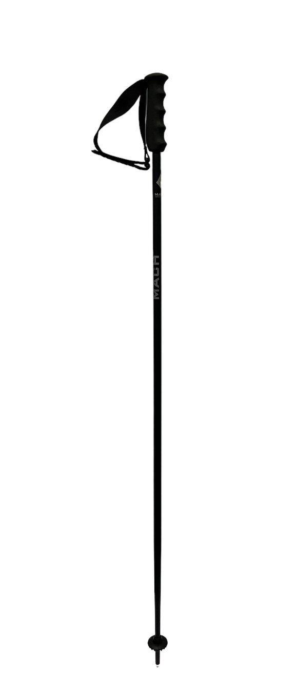 Bâton de ski Weltcup Alu - Black Ltd (paire)